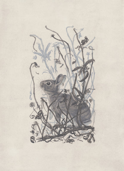 Teagan White - Self-Sower (Infested Nursery)