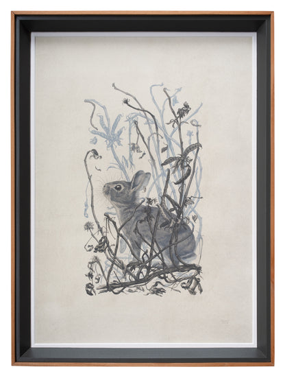 Teagan White - Self-Sower (Infested Nursery)