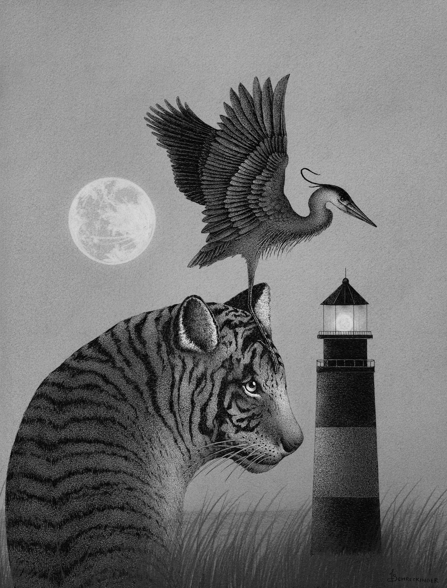 Juliet Schreckinger - A Twilight Dance