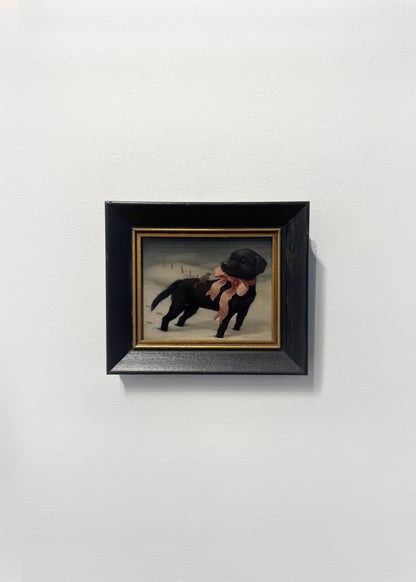 Katie Gamb - Beloved and Far From Home