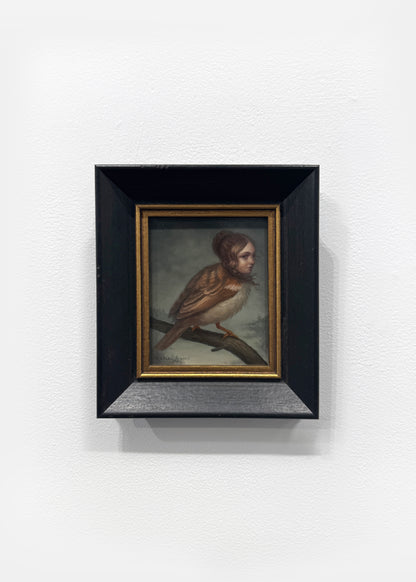 Katie Gamb - Sparrow Harpy