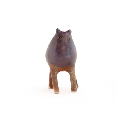 コージーキッチン - アメージ