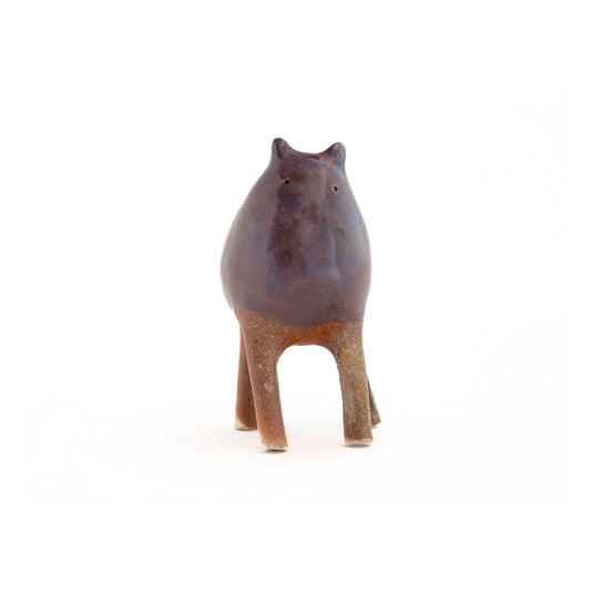 Kozy Kitchens - Ameji