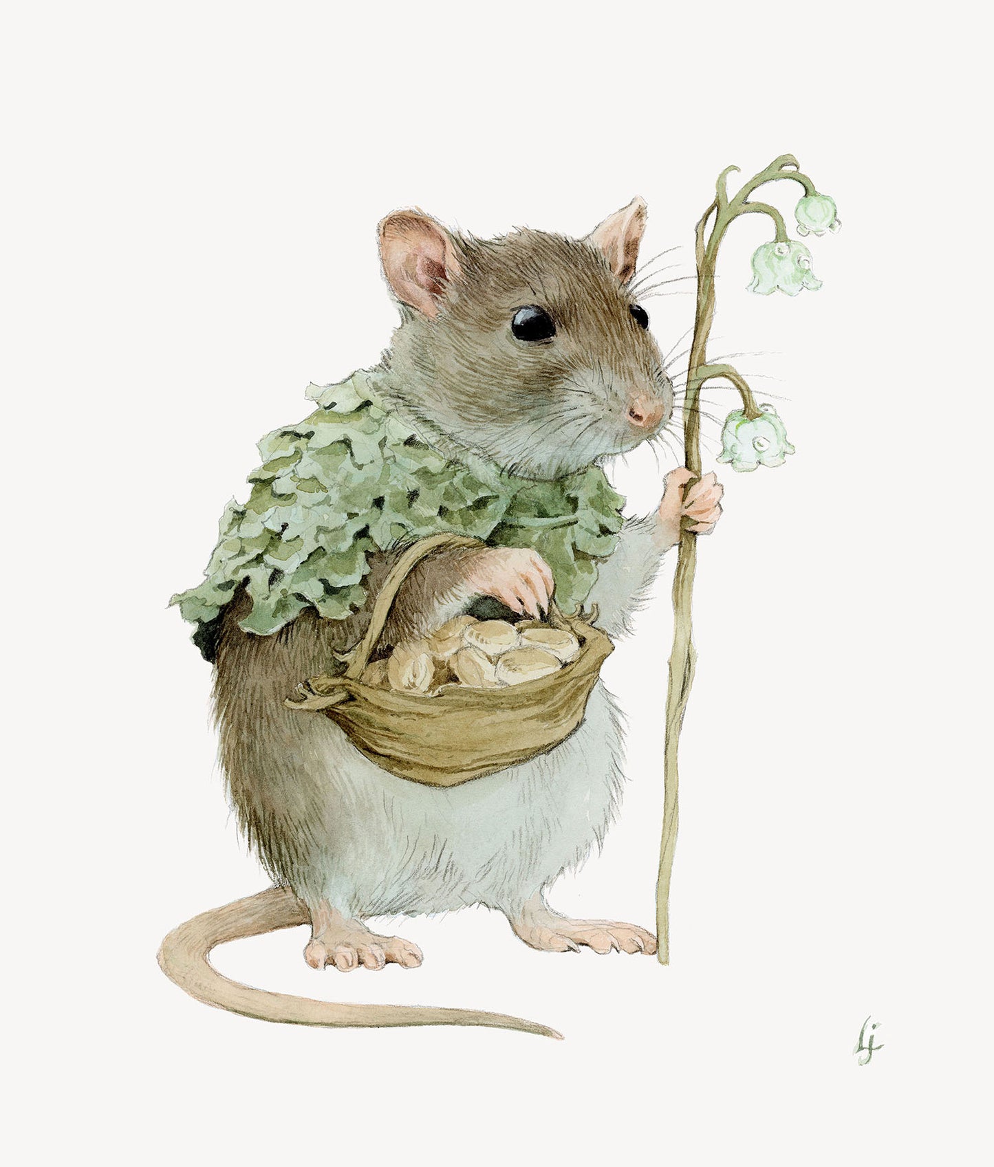 Lily Seika Jones - Biscuit Rat