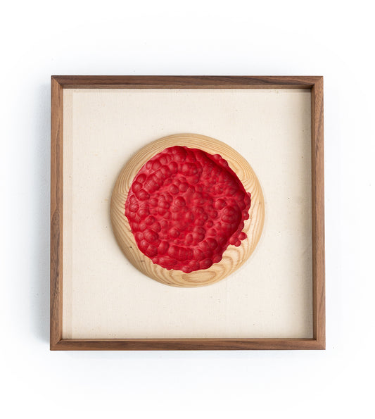 Takahiro Moriki - Hinomaru - Nomi