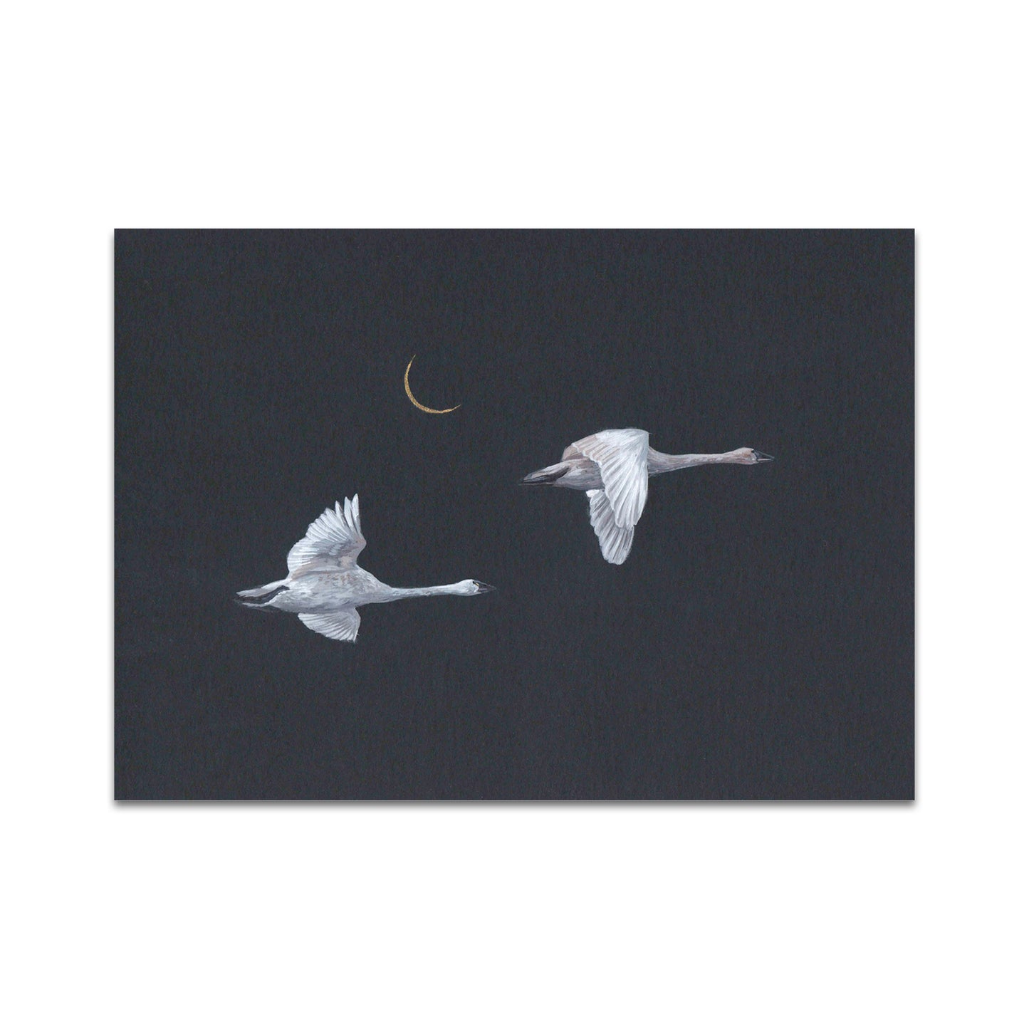 P10 - Bekah Zeimetz Postcard 1