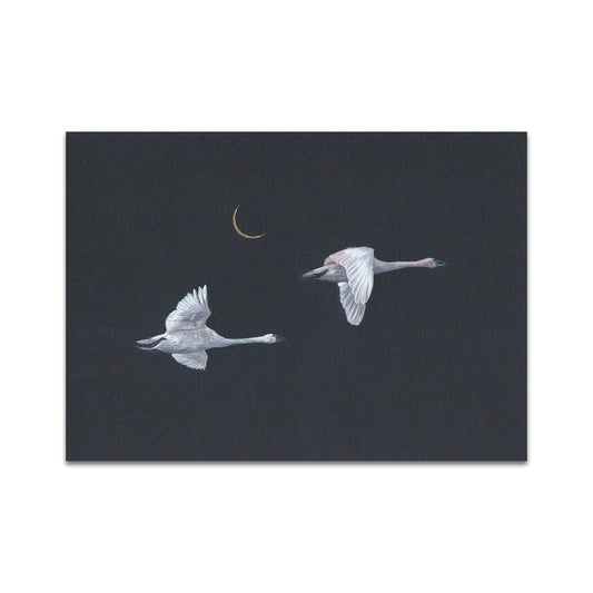 P10 - Bekah Zeimetz Postcard 1