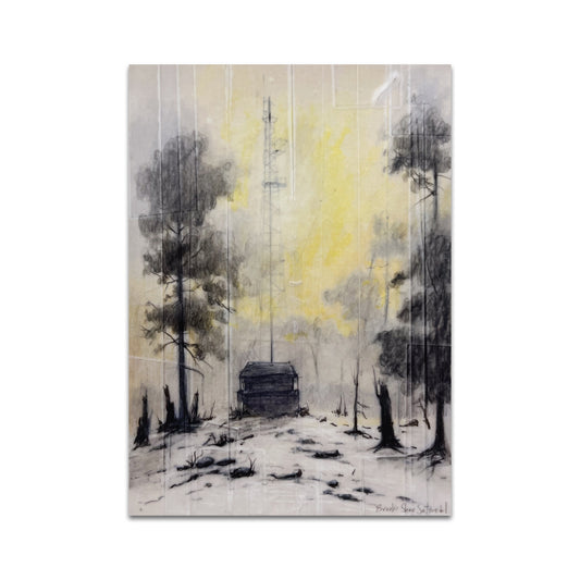P10 - Brooks Shane Salzwedel Postcard 2