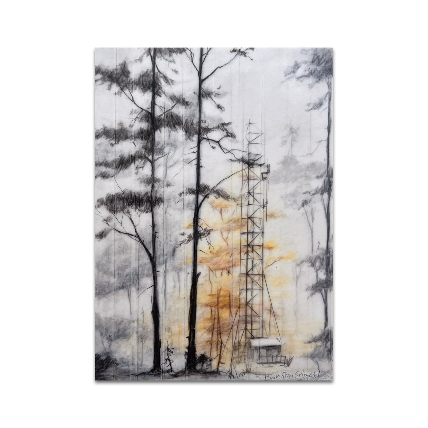 P10 - Brooks Shane Salzwedel Postcard 3