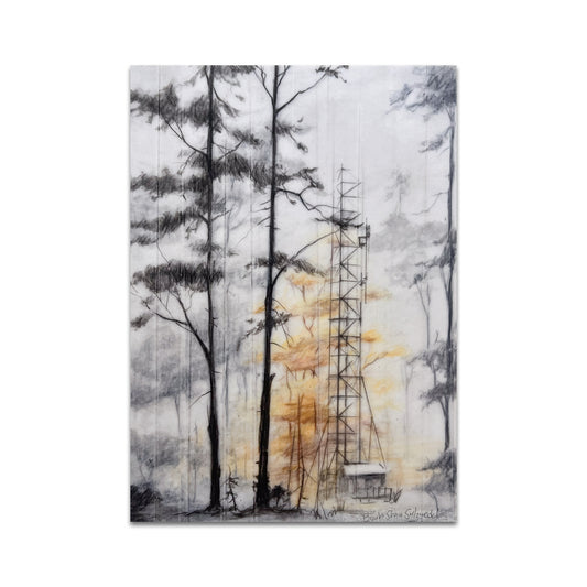 P10 - Brooks Shane Salzwedel Postcard 3