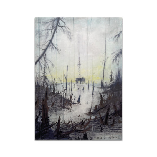 P10 - Brooks Shane Salzwedel Postcard 5