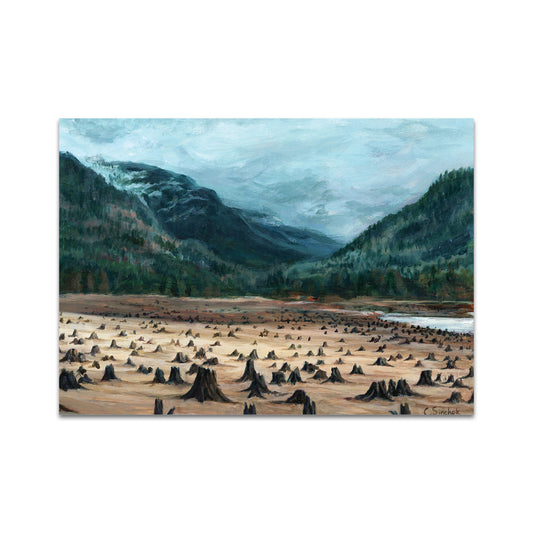 P10 - Caleb Sinchok Postcard 1