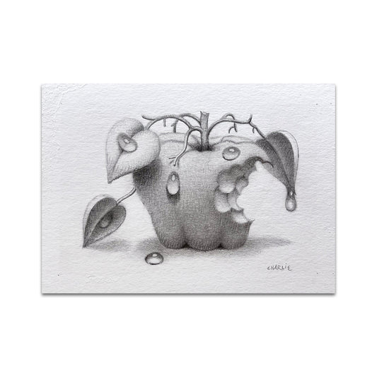 P10 - Charlie Immer Postcard 2