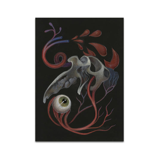 P10 - Demian Anderson Postcard 2