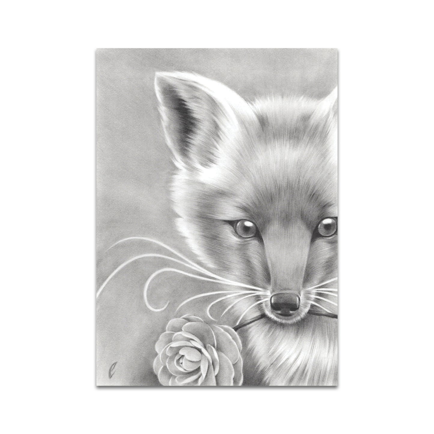 P10 - Edward Cao Postcard 1