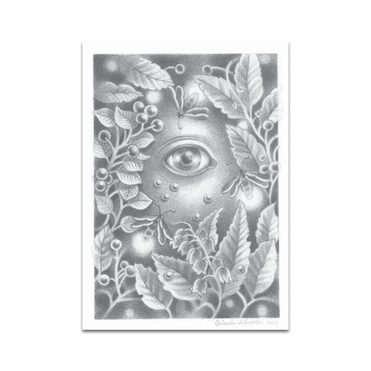 P10 - Gerlanda di Francia Postcard 1