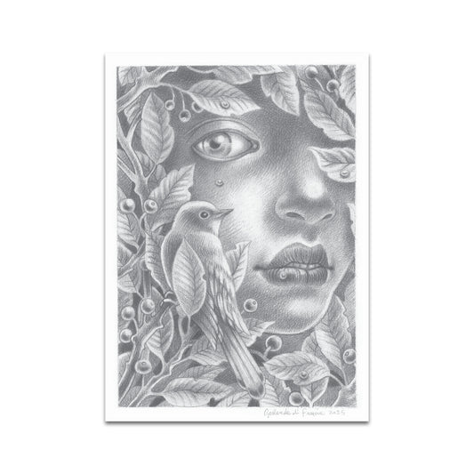 P10 - Gerlanda di Francia Postcard 2