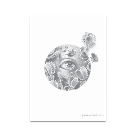 P10 - Gerlanda di Francia Postcard 3