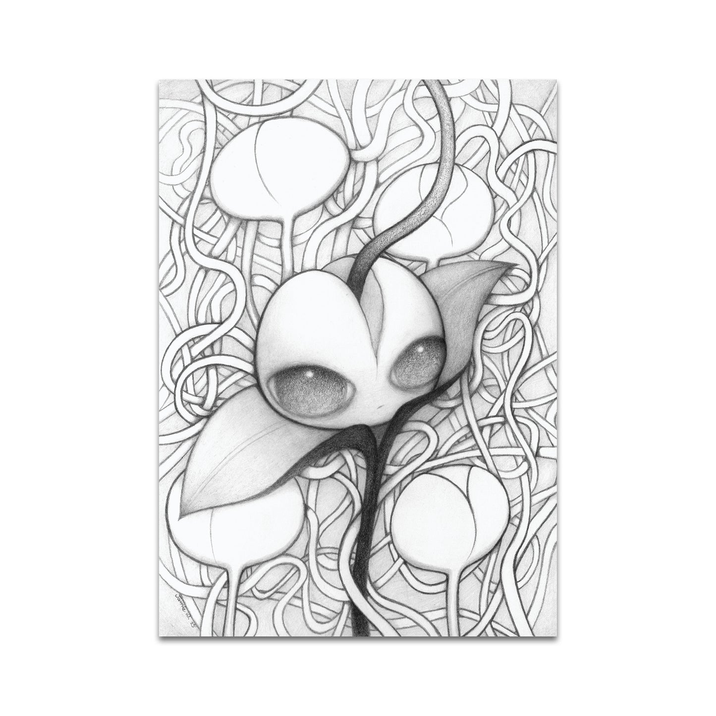 P10 - Jamie Wells Postcard 1