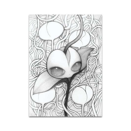 P10 - Jamie Wells Postcard 1
