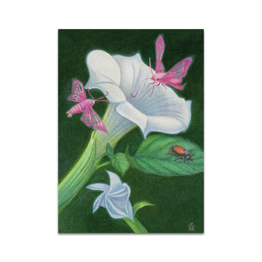 P10 - Julia Lundman Postcard 1