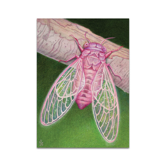 P10 - Julia Lundman Postcard 2