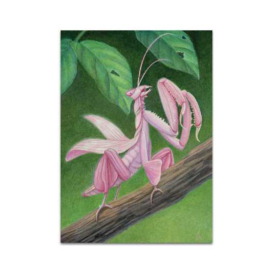 P10 - Julia Lundman Postcard 3