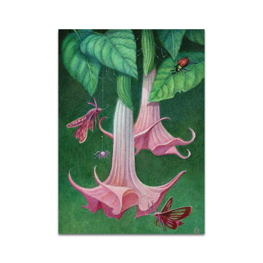 P10 - Julia Lundman Postcard 4