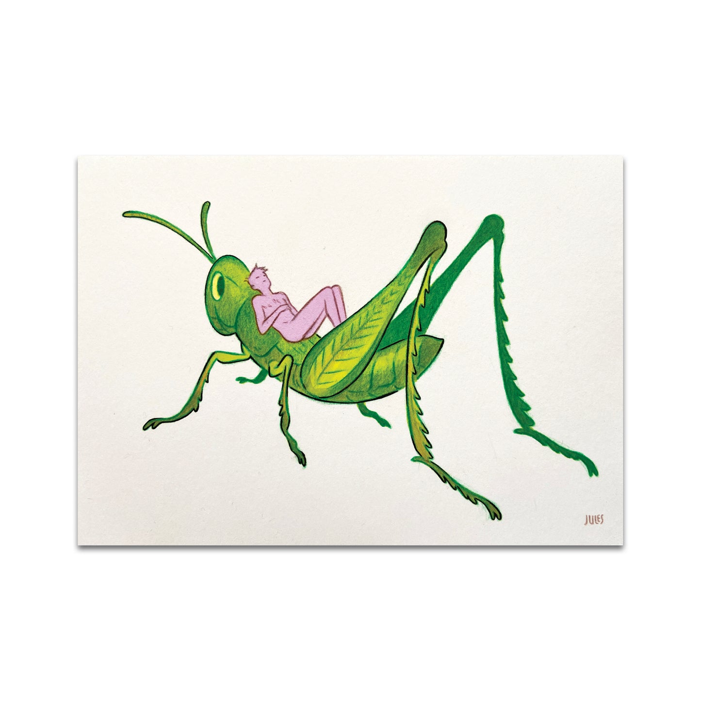 P10 - Julian Callos Postcard 2