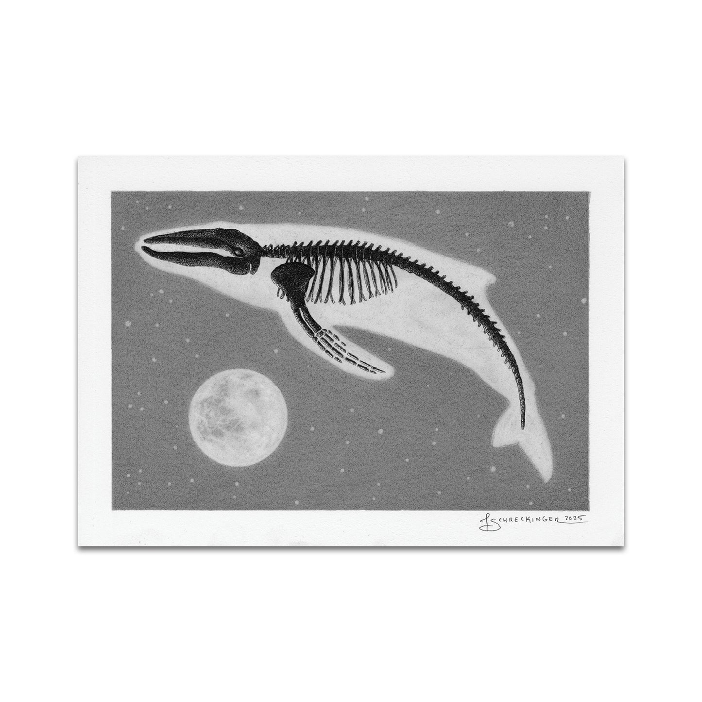 P10 - Juliet Schreckinger Postcard 1