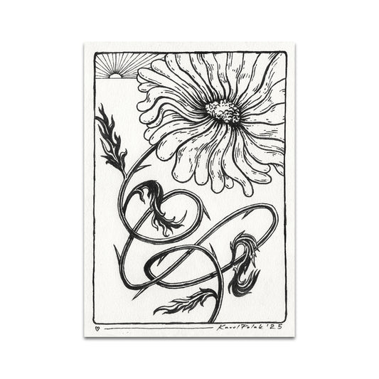 P10 - Karol Polak Postcard 4