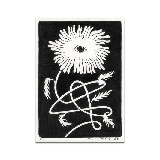 P10 - Karol Polak Postcard 5