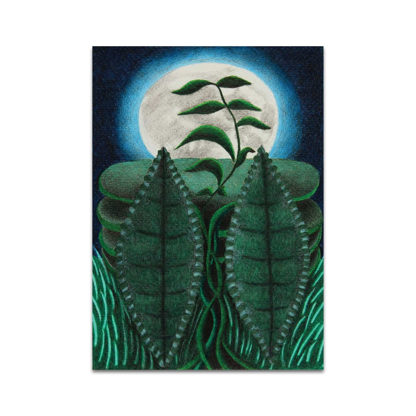 P10 - Linda J Wallis Postcard 3