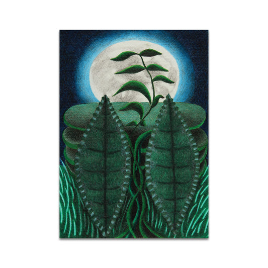 P10 - Linda J Wallis Postcard 3