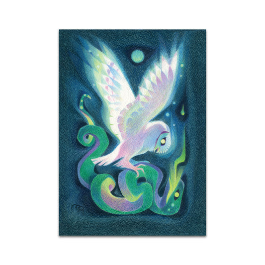 P10 - Marjolaine Roller Postcard 2