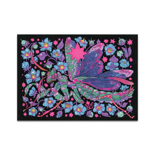 P10 - Niky Motekallem Postcard 2