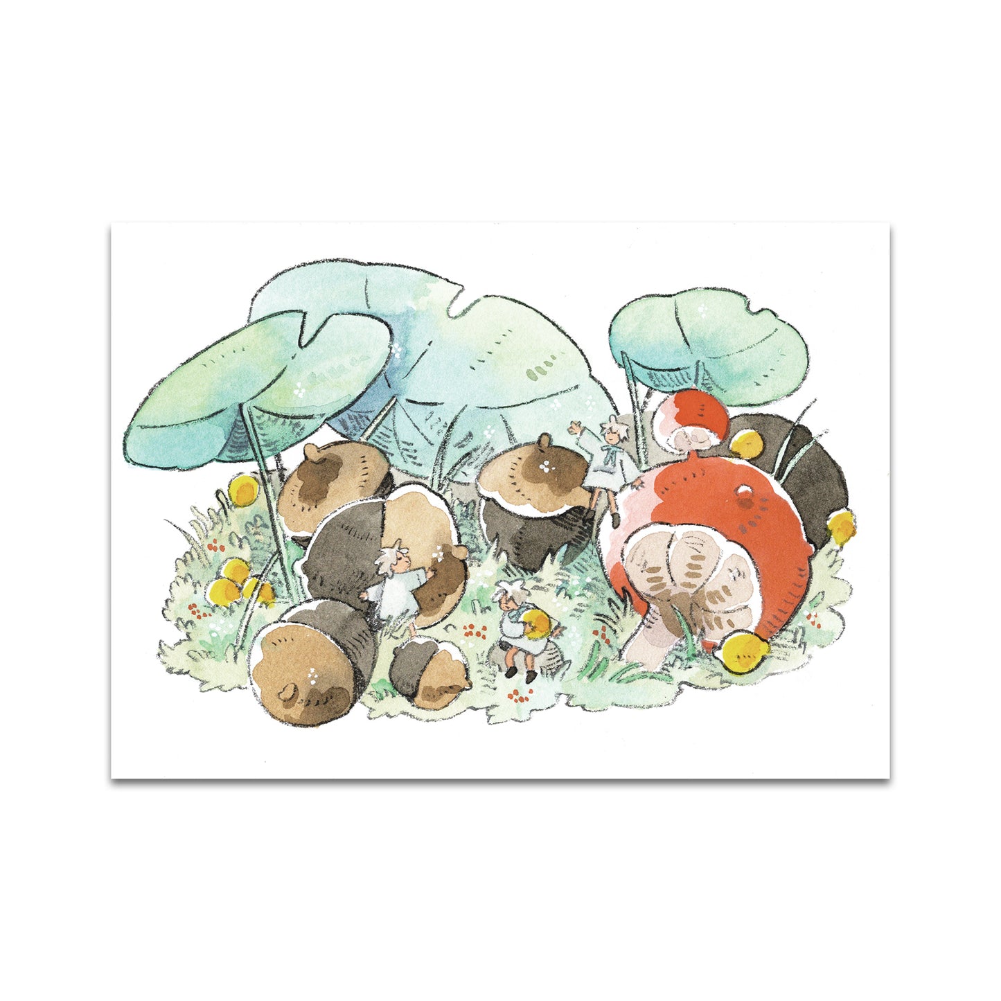 P10 - Parakid Postcard 1