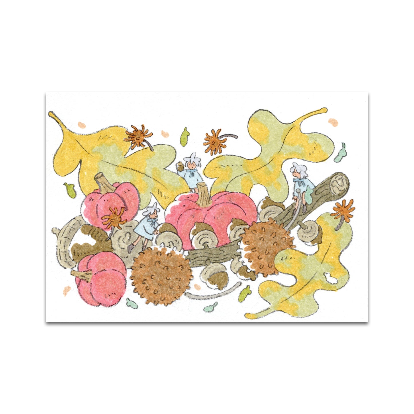 P10 - Parakid Postcard 2