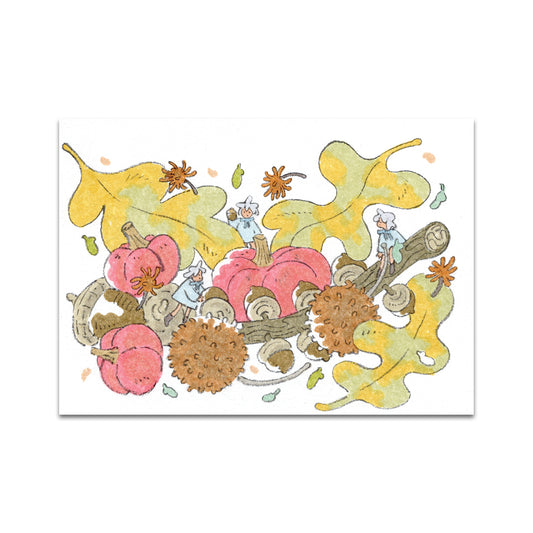 P10 - Parakid Postcard 2