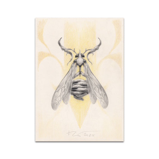 P10 - Petra Frankova Postcard 1