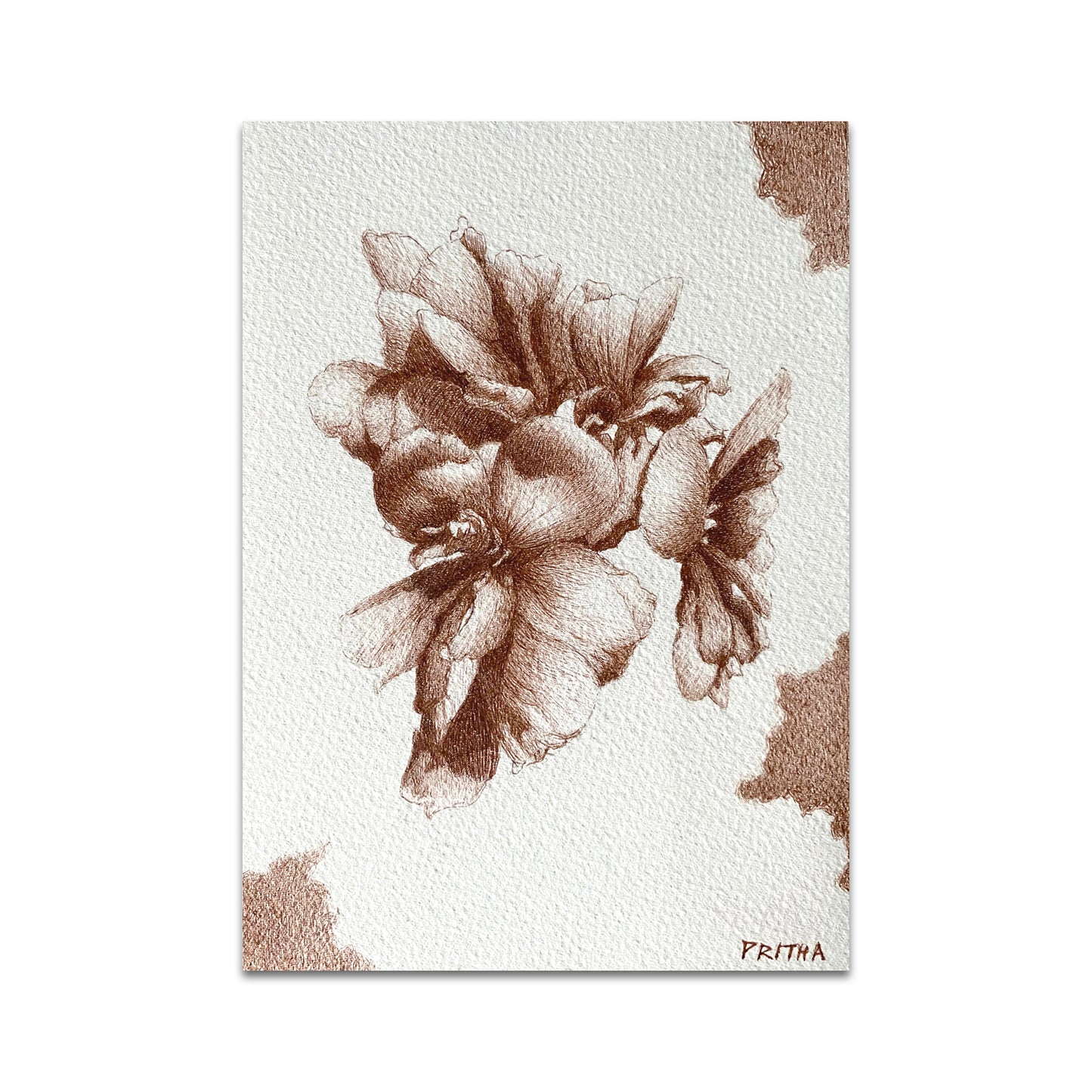 P10 - Pritha Bhadra Postcard 2