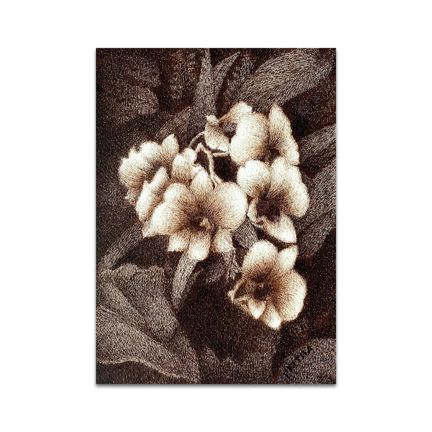 P10 - Pritha Bhadra Postcard 3