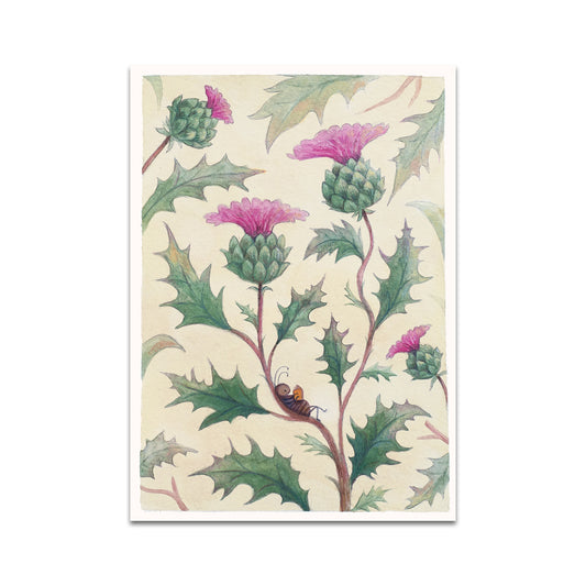 P10 - Raahat Kaduji Postcard 3