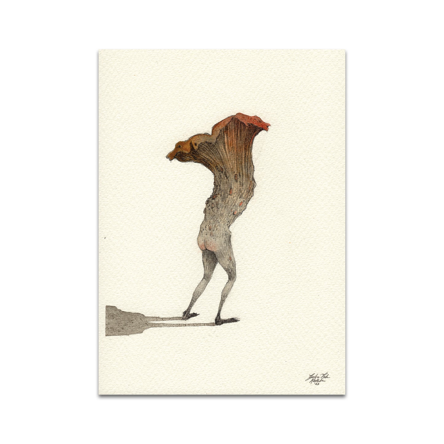 P10 - Rustlehare Postcard 2