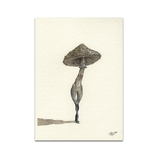 P10 - Rustlehare Postcard 3