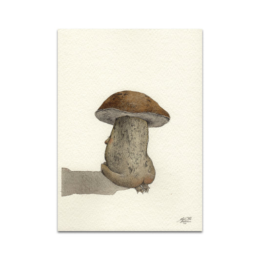 P10 - Rustlehare Postcard 4