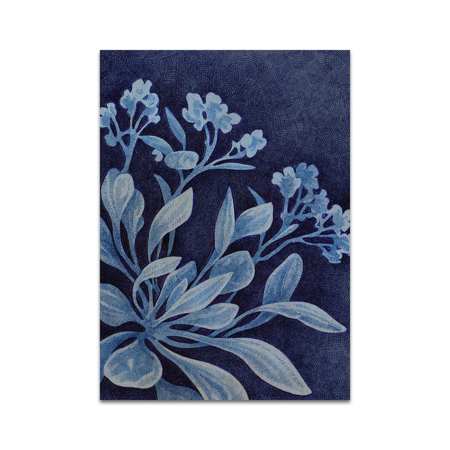 P10 - Song Kang Postcard 1