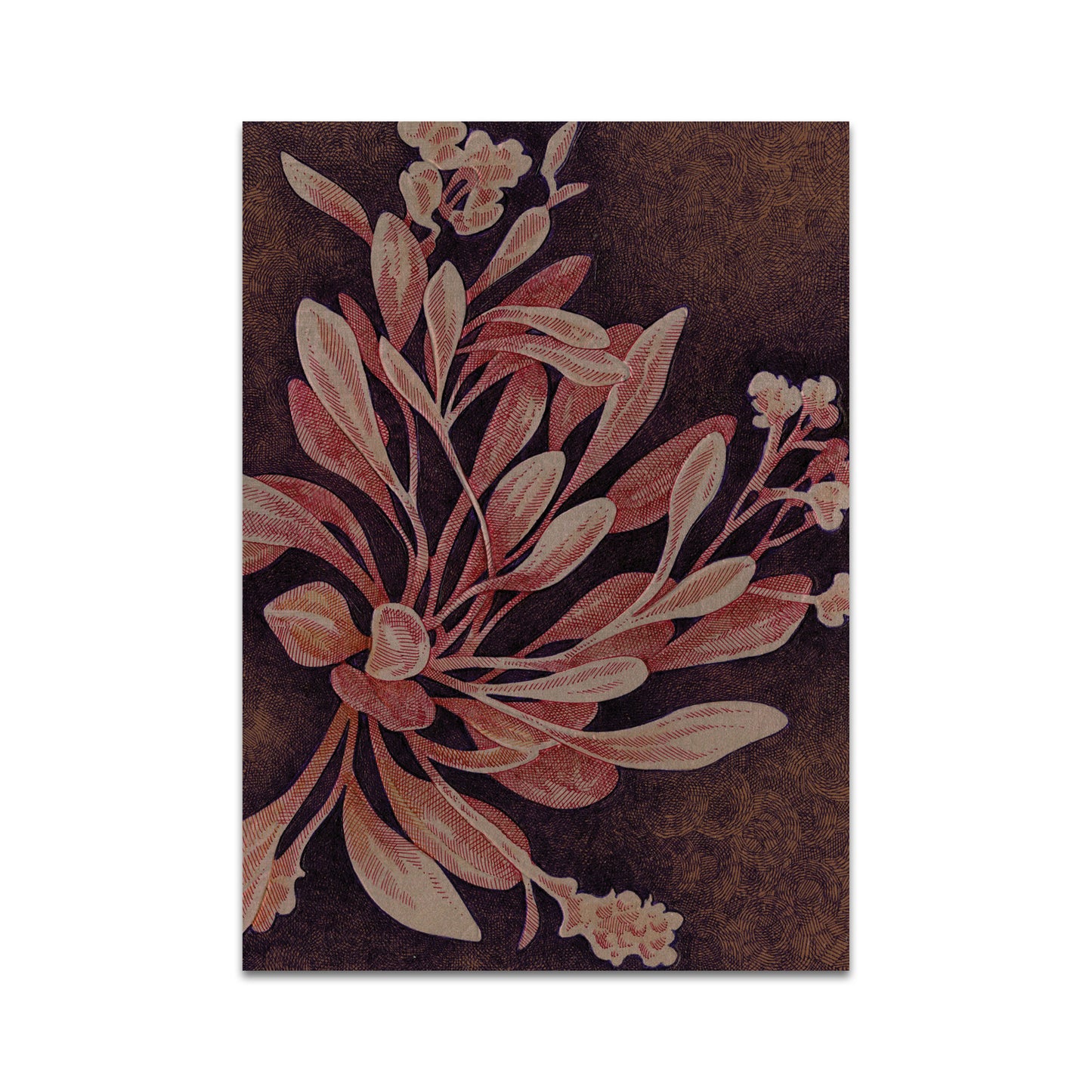 P10 - Song Kang Postcard 3