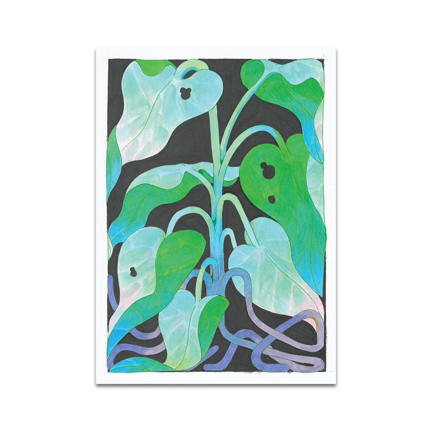 P10 - fulltimefish Postcard 1