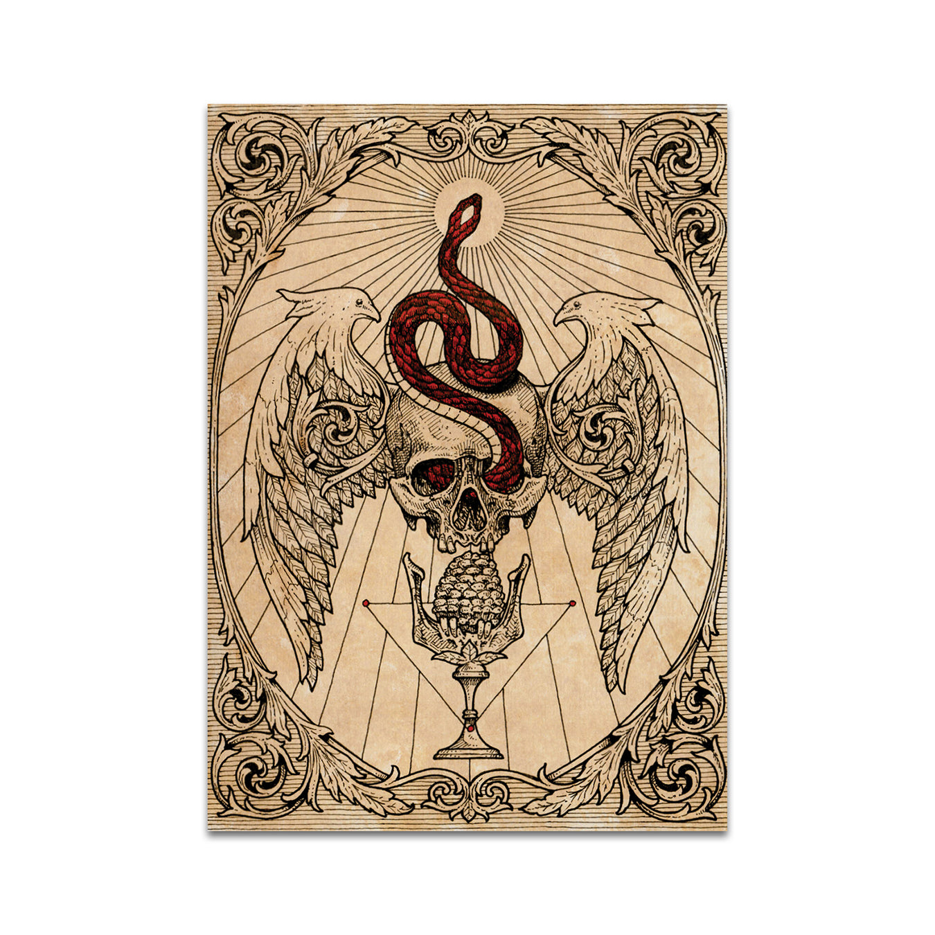 P8 - Adrian Baxter Postcard 6